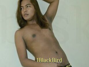 1BlackBird