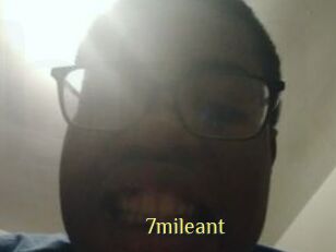 7mileant