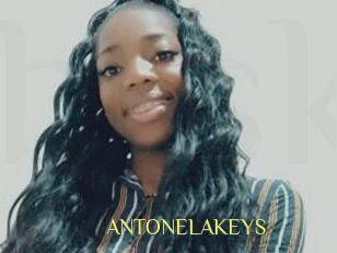 ANTONELAKEYS