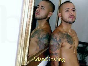 AdamGosling