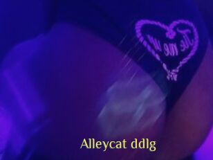 Alleycat_ddlg