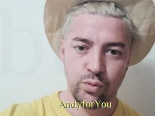 AndyforYou