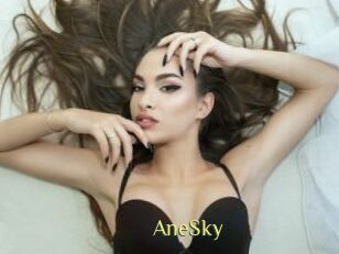 AneSky