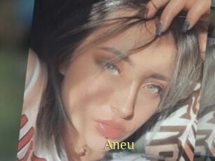 Aneu