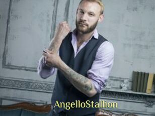 AngelloStallion