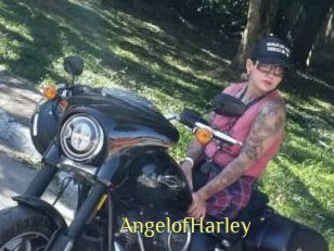 AngelofHarley