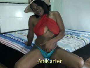 AniKarter