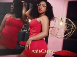 AnieCarey
