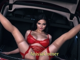 AnisiaCorner