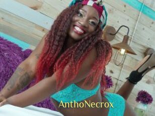 AnthoNecrox