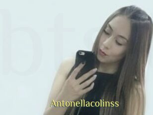 Antonellacolinss