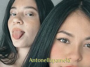 Antonellapamela