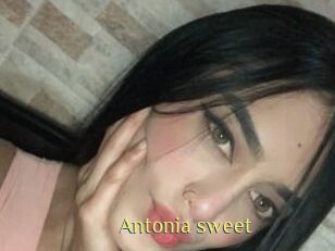 Antonia_sweet