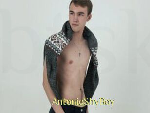 AntonioShyBoy