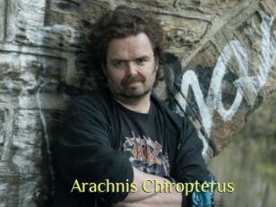 Arachnis_Chiropterus