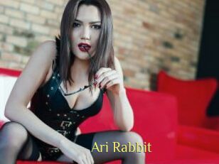 Ari_Rabbit