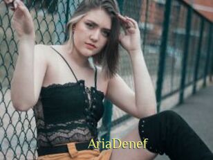 AriaDenef