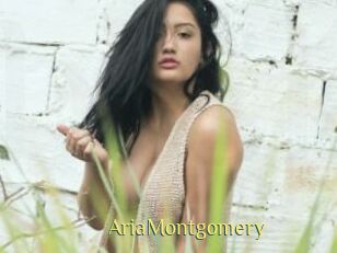 AriaMontgomery