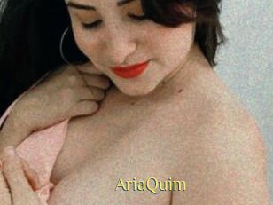 AriaQuim