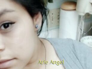 Arie_Angel