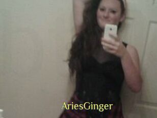 AriesGinger