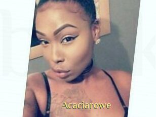 Acacia_rowe