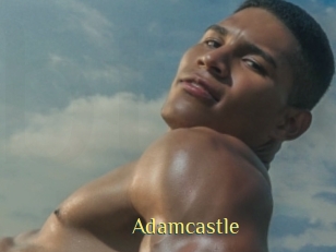 adamcastle Brutal Spankings