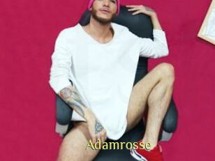 Adamrosse