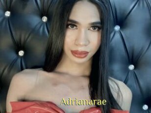 Adrianarae
