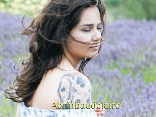 Aerinbaudelaire