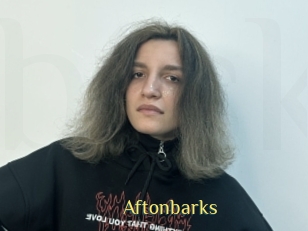 Aftonbarks