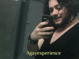 Agayexperience