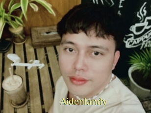Aidenlandy