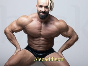 Alecaddison