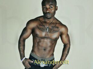 Alexandercolt