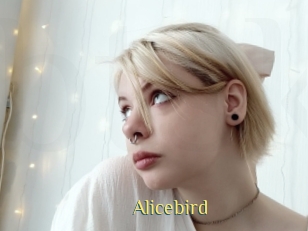 Alicebird