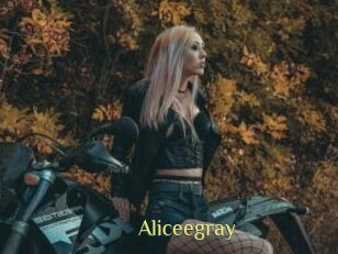 Aliceegray