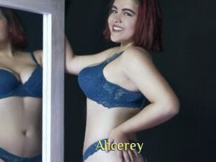 Alicerey
