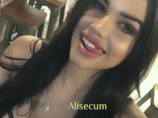 Alisecum