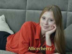 Allicecherry