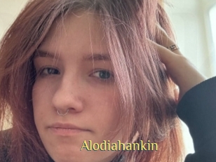 Alodiahankin
