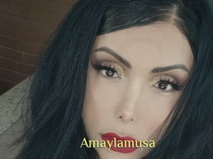 Amaylamusa
