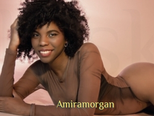 Amiramorgan