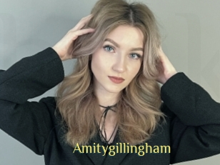 Amitygillingham