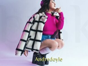 Andredoyle