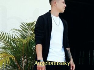 Angelomisaky