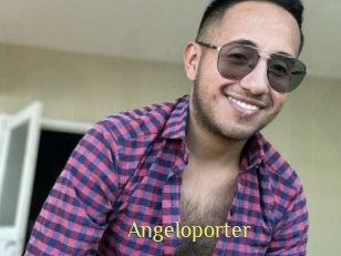 Angeloporter