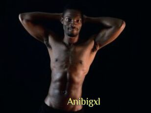 Anibigxl