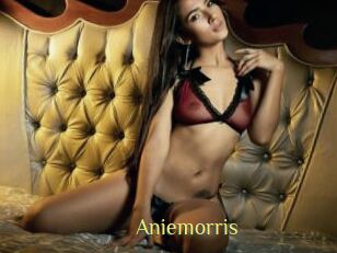 Aniemorris