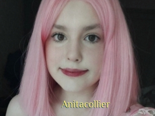 Anitacollier